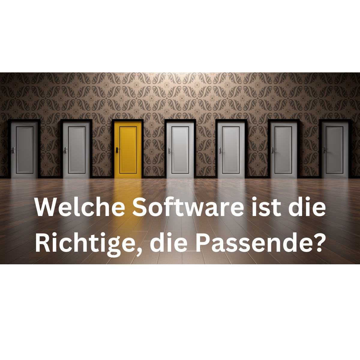 erfolgreiche Sotware Auswahl